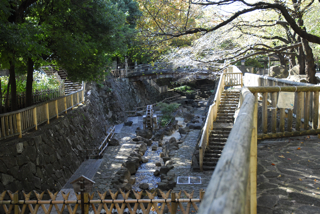 写真７は、公園内の散歩道から親水施設を見下ろした様子です。奥は音無橋へと真っ直ぐに続いています。